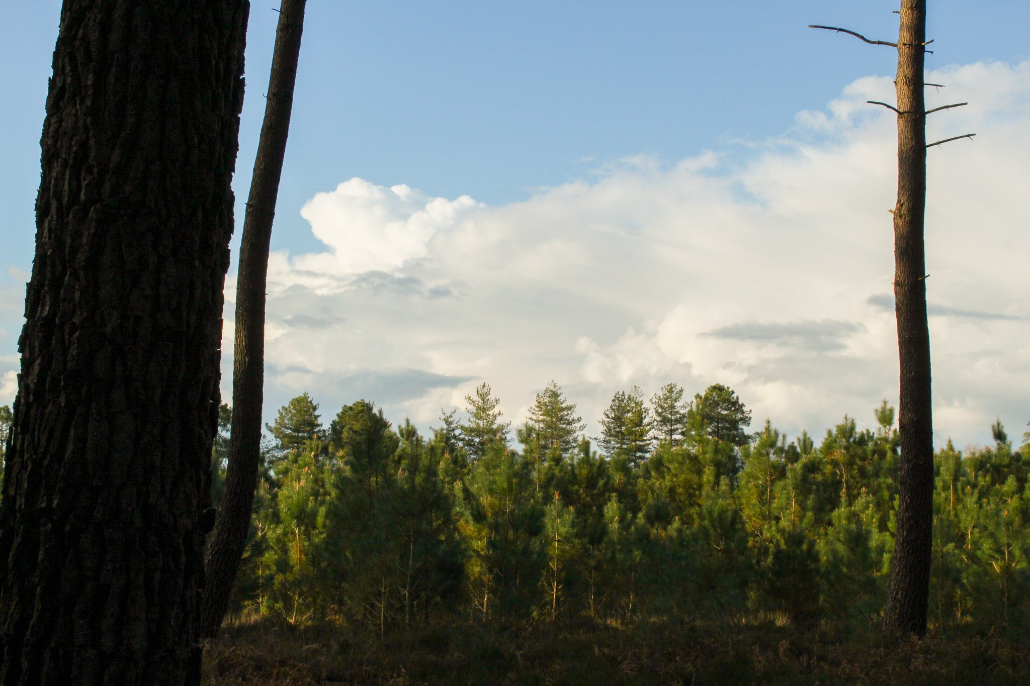 Paysage — photographie ER.Visuals