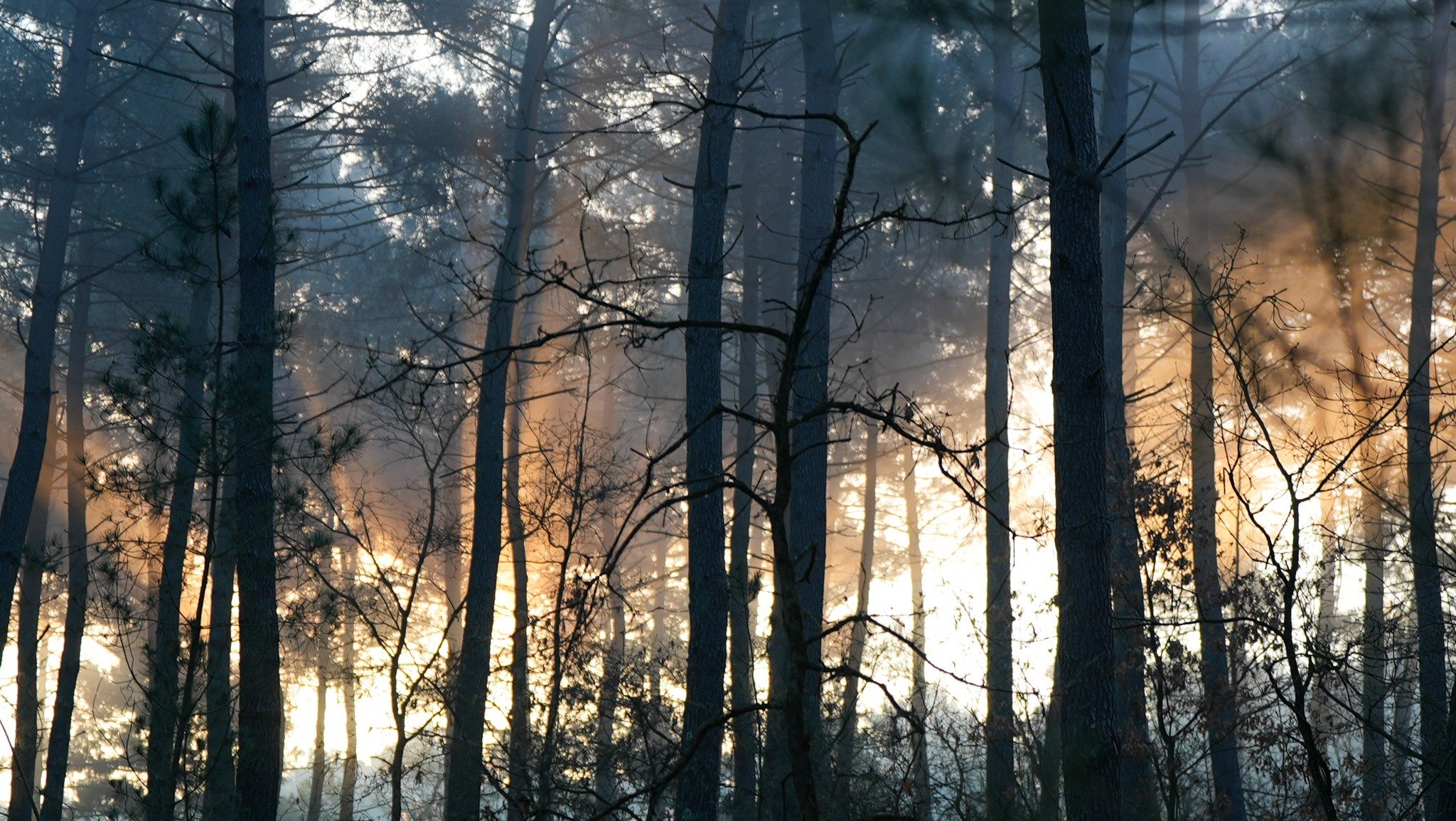 Lumière — photographie ER.Visuals