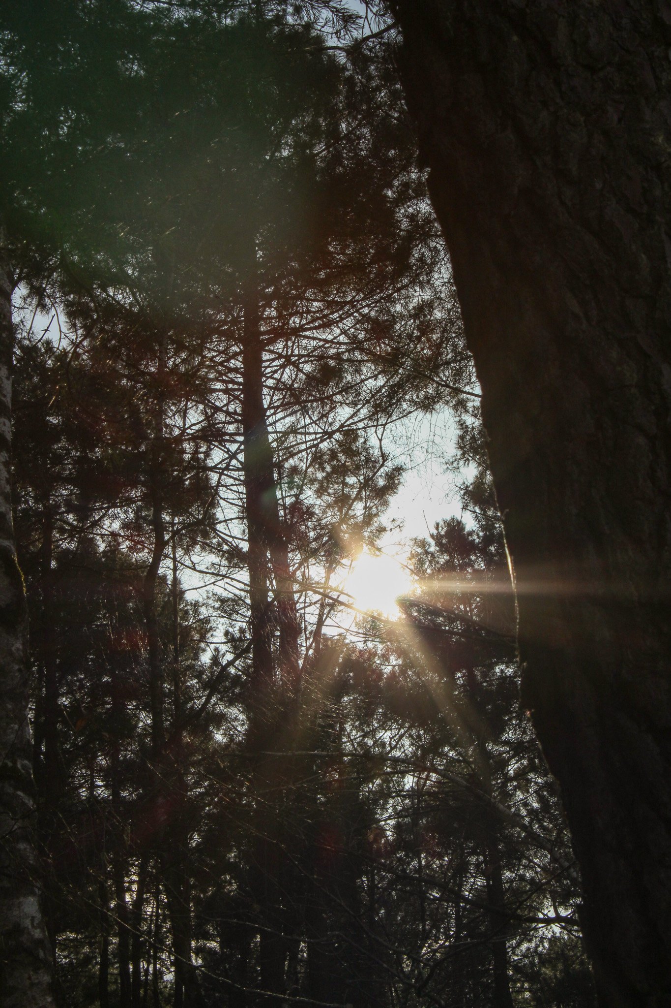 Lumière — photographie ER.Visuals